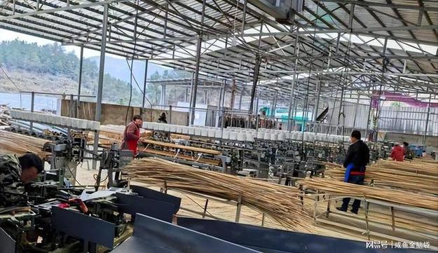 竹子掀翻石油桌子？中国“以竹代塑”重塑全球材料格局